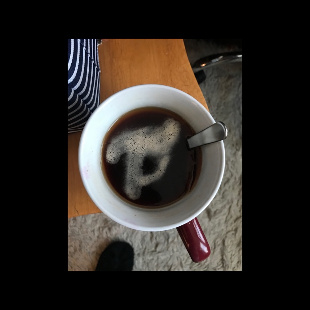 Meet your Posher, Gina